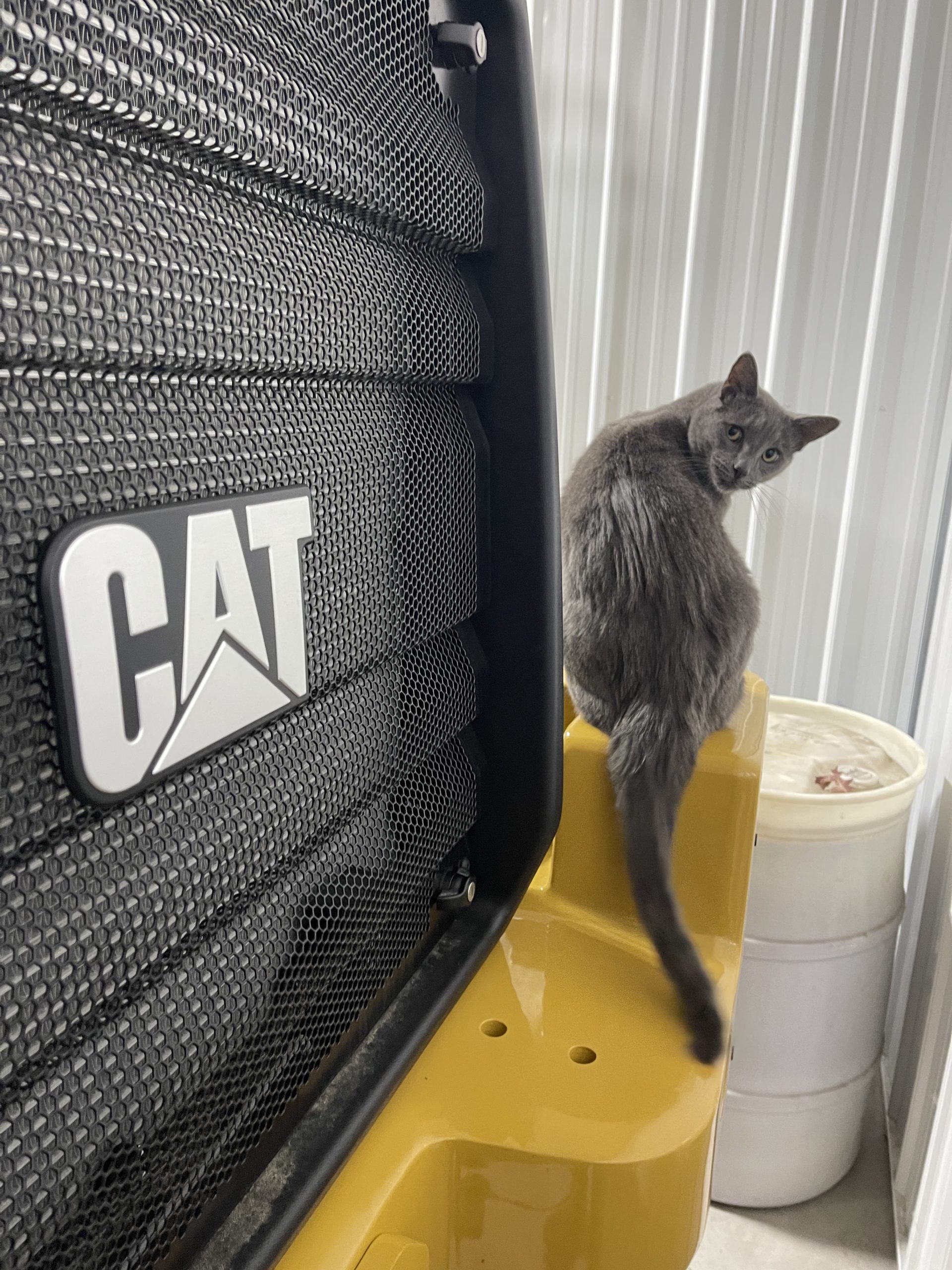 80th Photo Submission